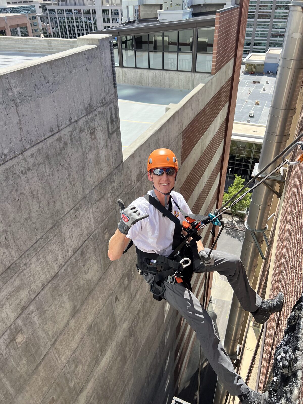 Commercial Bat Removal